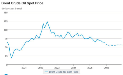 金属“疯牛”！2026年“淘金热”行情转向有色？不朽情缘平台推荐年终盘点之大宗商品：能源疲软贵(图9)
