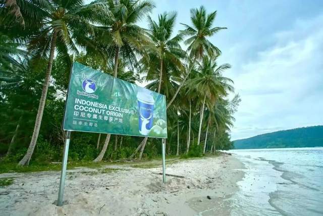 8年跑出一个“咖啡日常化”的中国范本MG不朽情缘正版从99元到3万店瑞幸(图2)