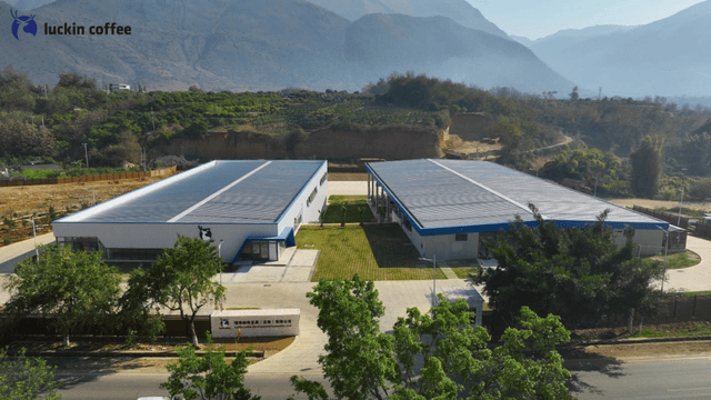 8年跑出一个“咖啡日常化”的中国范本MG不朽情缘正版从99元到3万店瑞幸(图3)