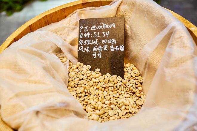 园体验咖啡文化深入了解背后的文化故事不朽情缘平台登录网页普洱北归咖啡庄(图3)