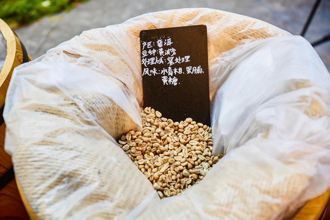 园体验咖啡文化深入了解背后的文化故事不朽情缘平台登录网页普洱北归咖啡庄(图1)