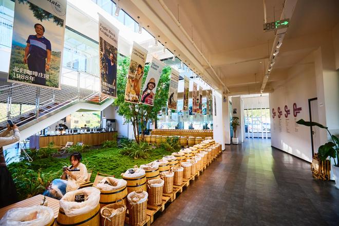 园体验咖啡文化深入了解背后的文化故事不朽情缘平台登录网页普洱北归咖啡庄(图4)