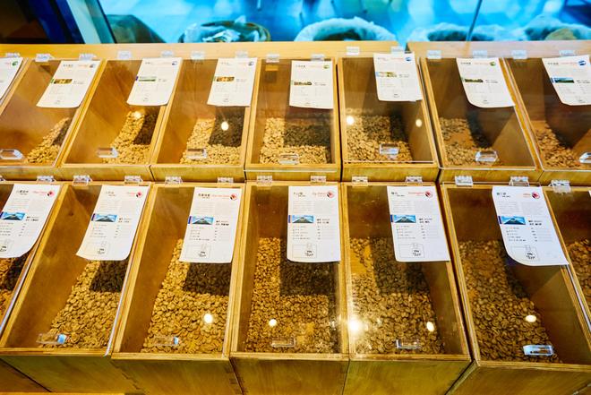 园体验咖啡文化深入了解背后的文化故事不朽情缘平台登录网页普洱北归咖啡庄(图6)